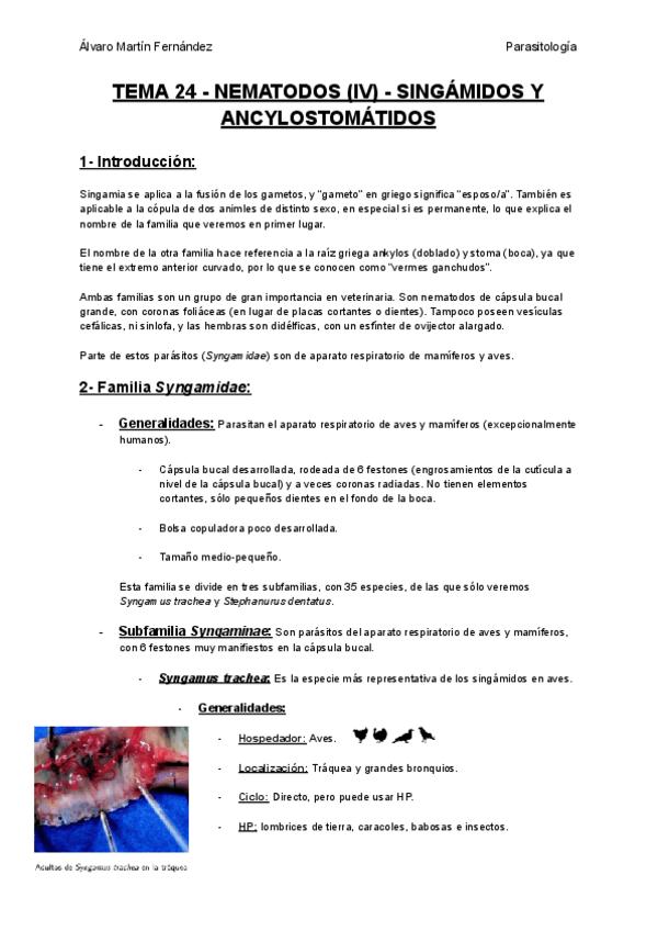 Miniatura del documento TEMA-24-NEMATODOS-IV-SINGAMIDOS-Y-ANCYLOSTOMATIDOS.pdf