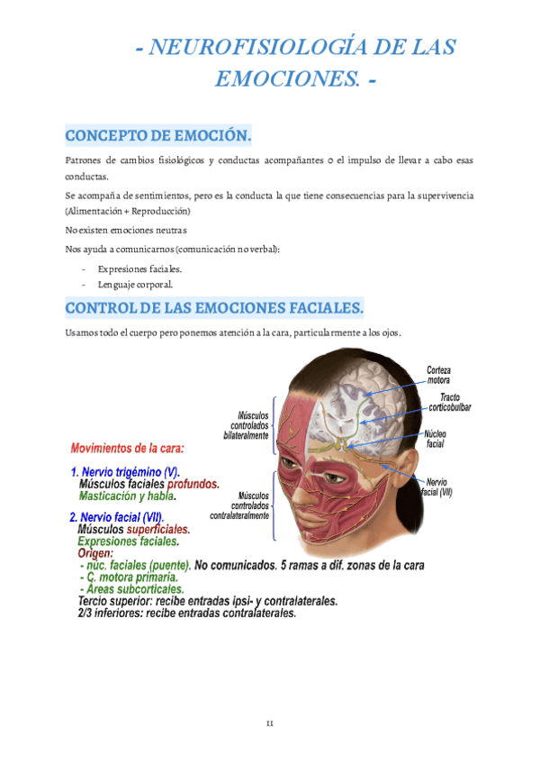 Miniatura del documento 11.pdf