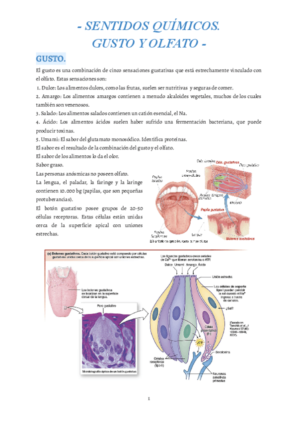 Miniatura del documento 4.pdf