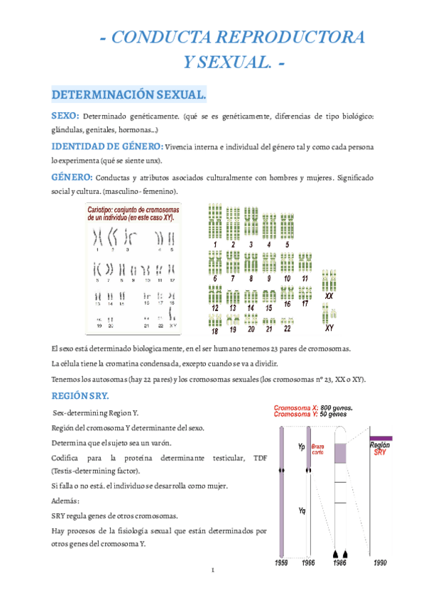 Miniatura del documento 10.pdf