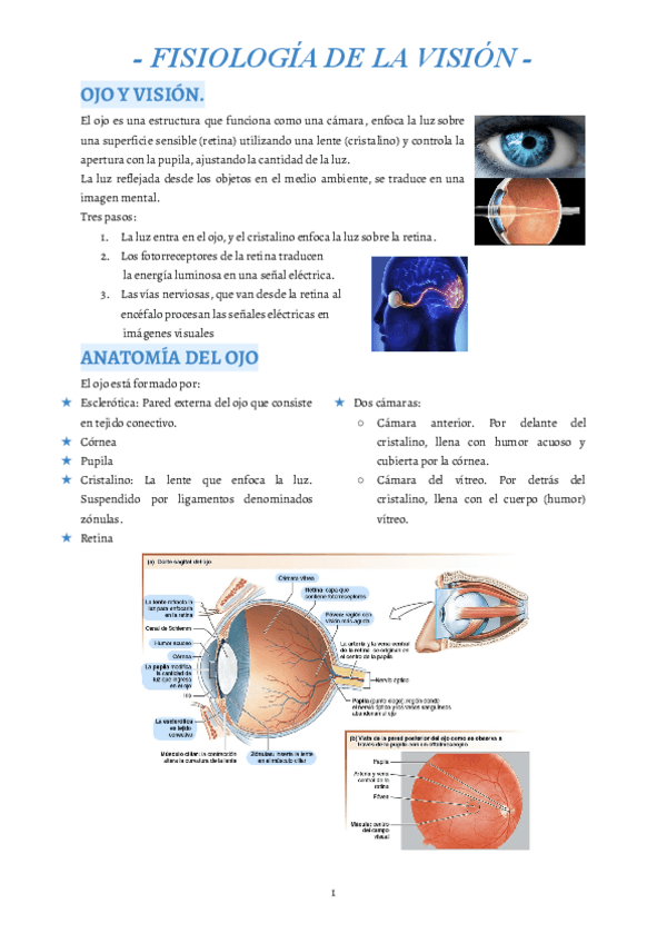 Miniatura del documento 5.pdf