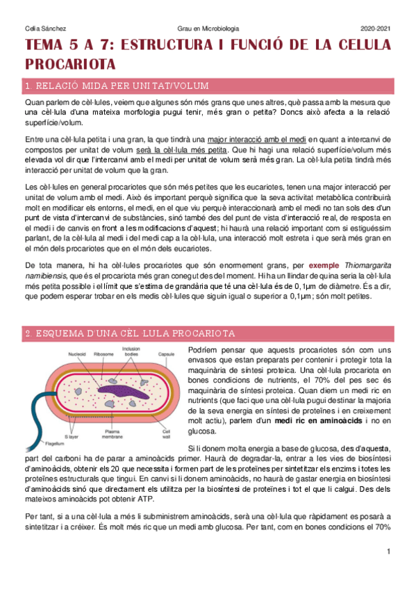 Miniatura del documento temes-5-a-7.pdf