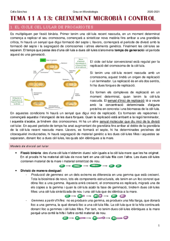 Miniatura del documento temes-11-a-13-.pdf