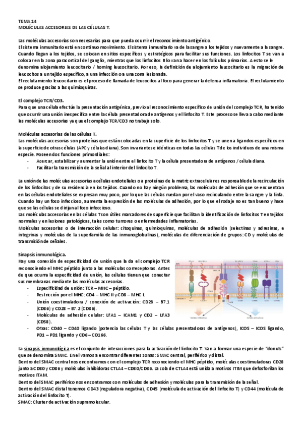 Miniatura del documento 15.pdf