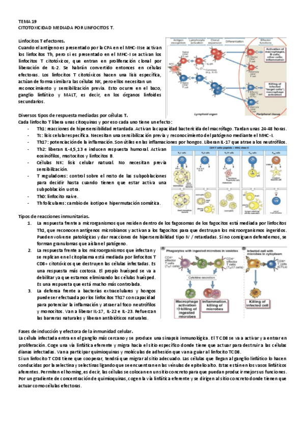 Miniatura del documento 19.pdf