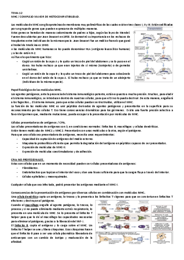Miniatura del documento 12.pdf