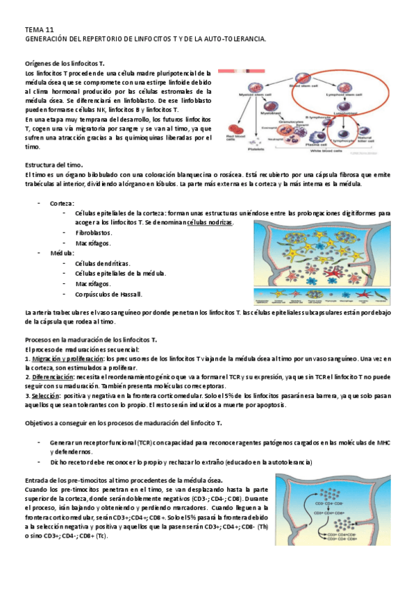 Miniatura del documento 11.pdf