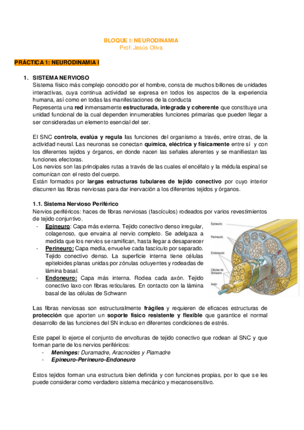 Miniatura del documento Bloque-I.pdf
