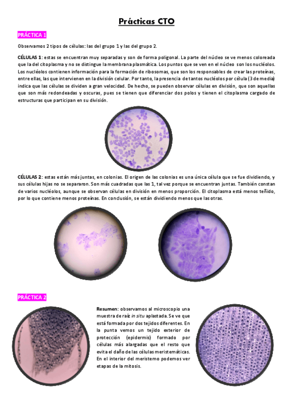 Miniatura del documento Practicas-CTO.pdf