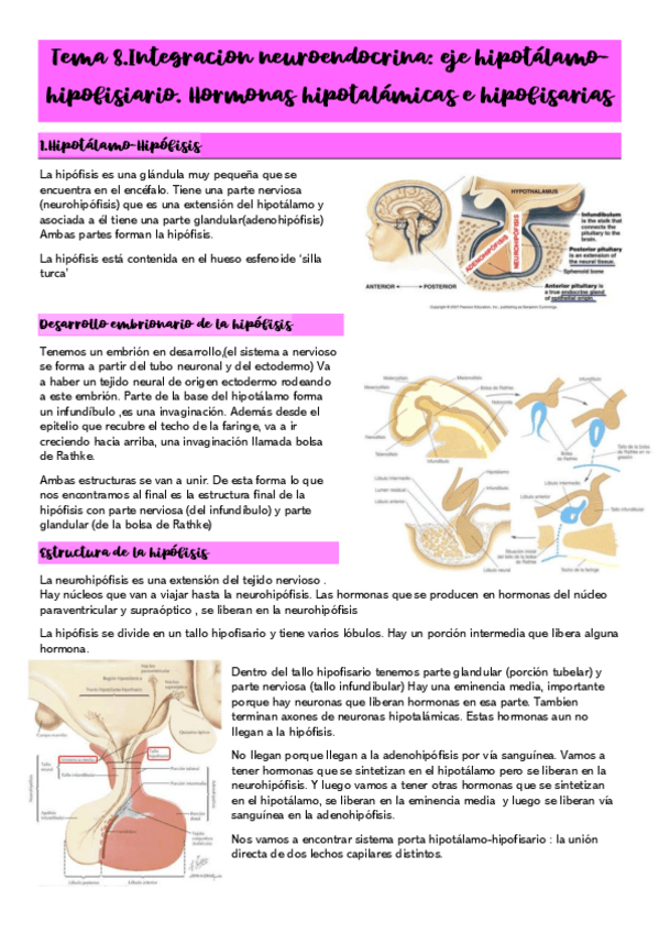 Miniatura del documento Tema-8.pdf