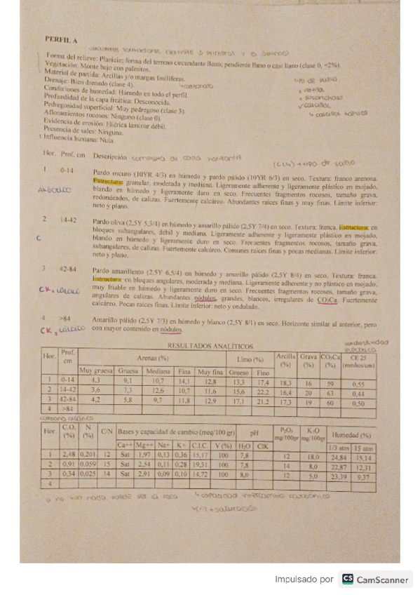 Miniatura del documento edafoperfiles.pdf