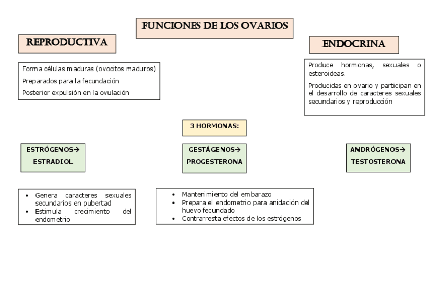 Miniatura del documento FUNCIONES-DE-LOS-OVARIOS-ESQUEMA.pdf