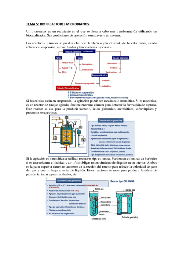 Miniatura del documento TEMA-5-Biorreactores.pdf
