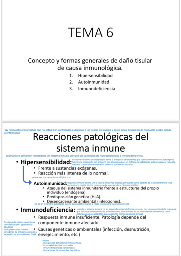 Miniatura del documento Tema 6.pdf