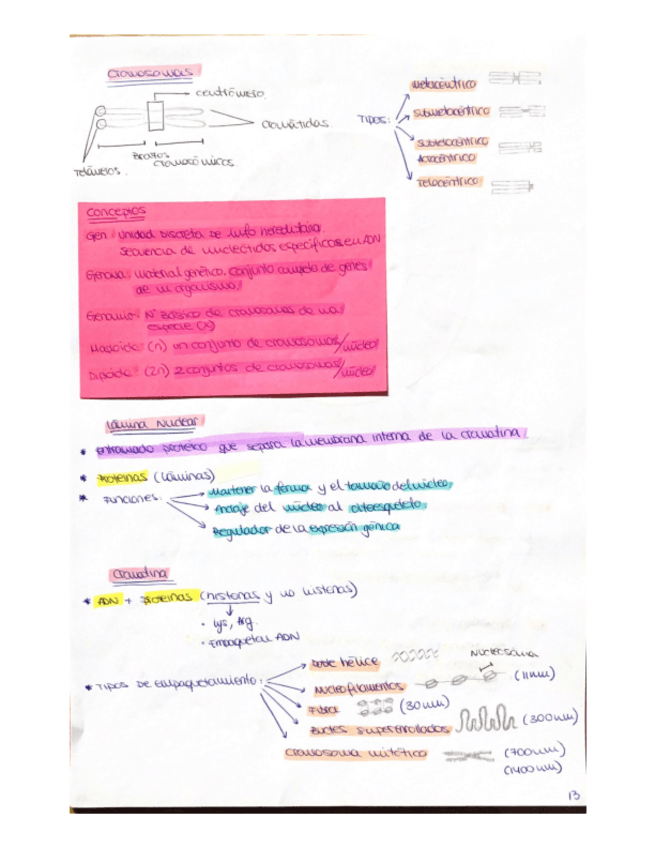 Miniatura del documento Biocel-2.pdf