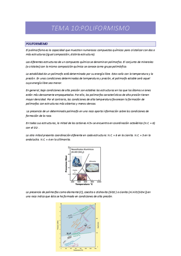Miniatura del documento T10-Poliformismo.pdf