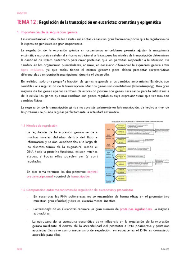 Miniatura del documento TEMA-12.pdf