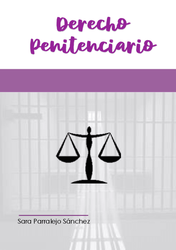 Miniatura del documento T6. Ejecución penitenciaria