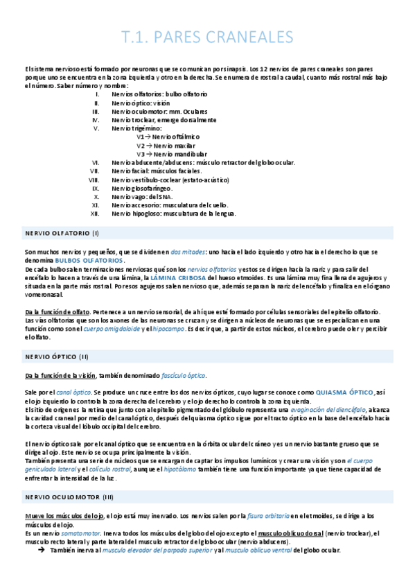 Miniatura del documento Pares craneales