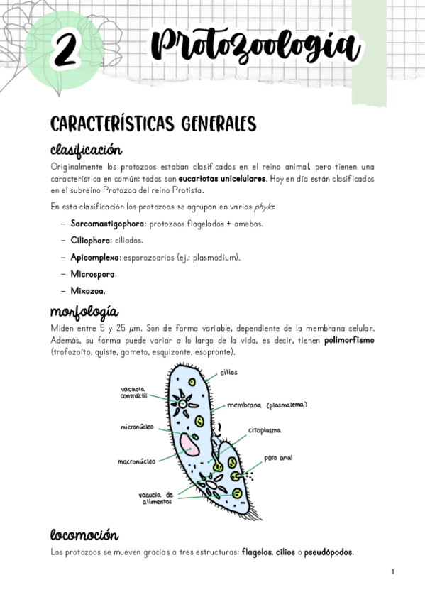 Miniatura del documento Tema-2.pdf