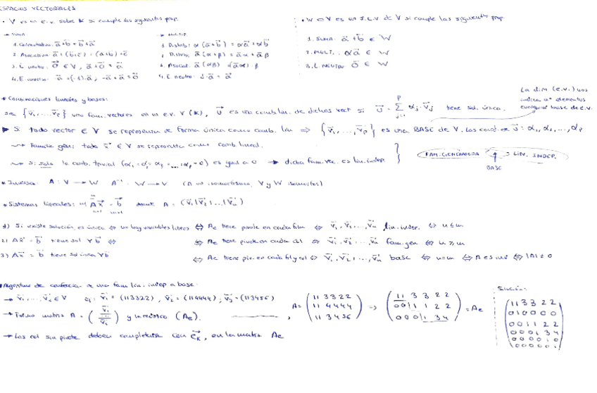 Miniatura del documento ESPACIOS-VECTORIALES-Y-MATRICES.pdf