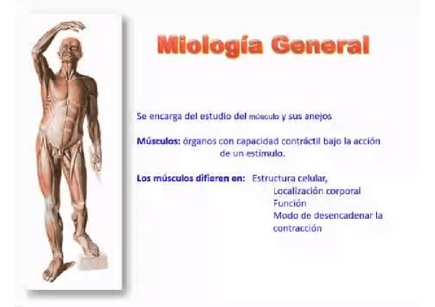 Miniatura del documento 4.pdf