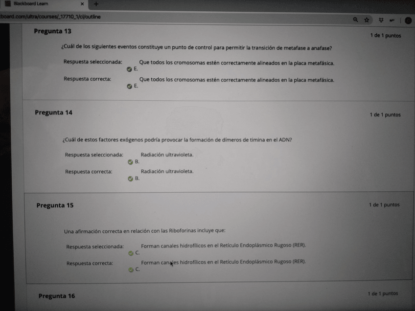 Miniatura del documento IMG20200918123246.jpg