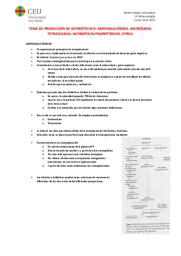 Miniatura del documento TEMA-20.pdf
