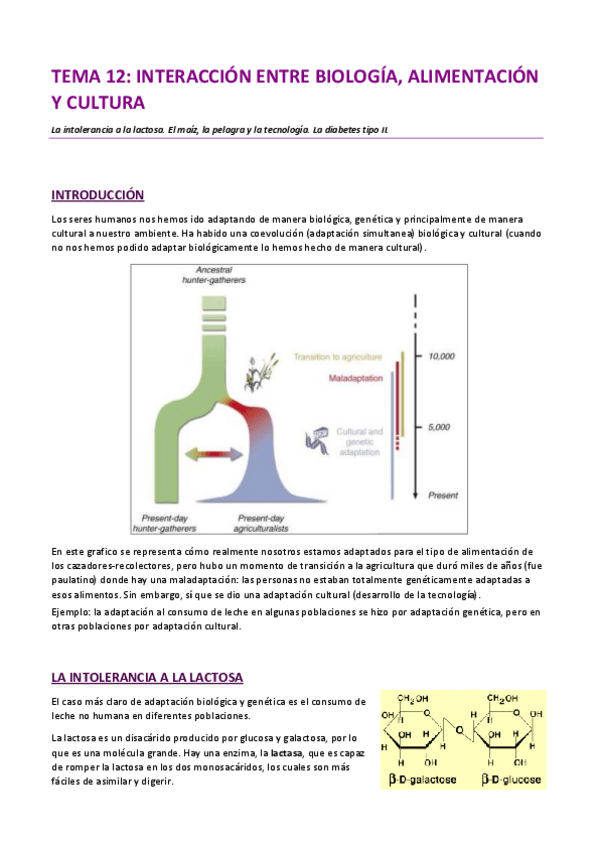 Miniatura del documento TEMA-12.pdf