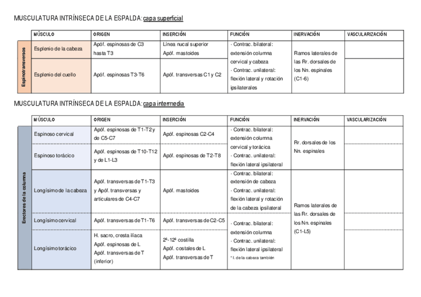 Miniatura del documento TABLAS TODO Anatomía general 2021-2022