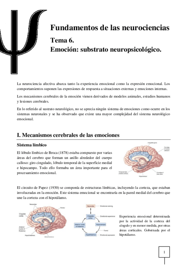 Miniatura del documento T06-Neurociencias.pdf