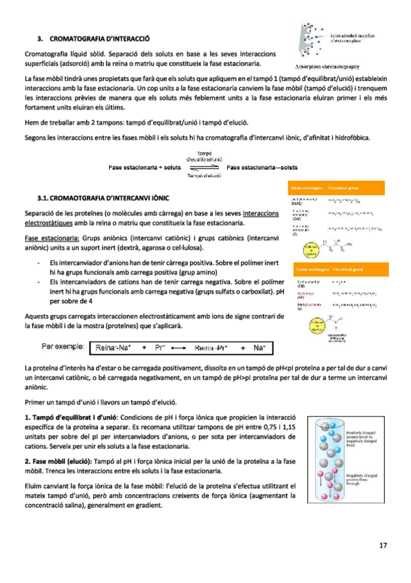 Miniatura del documento tema-2.pdf