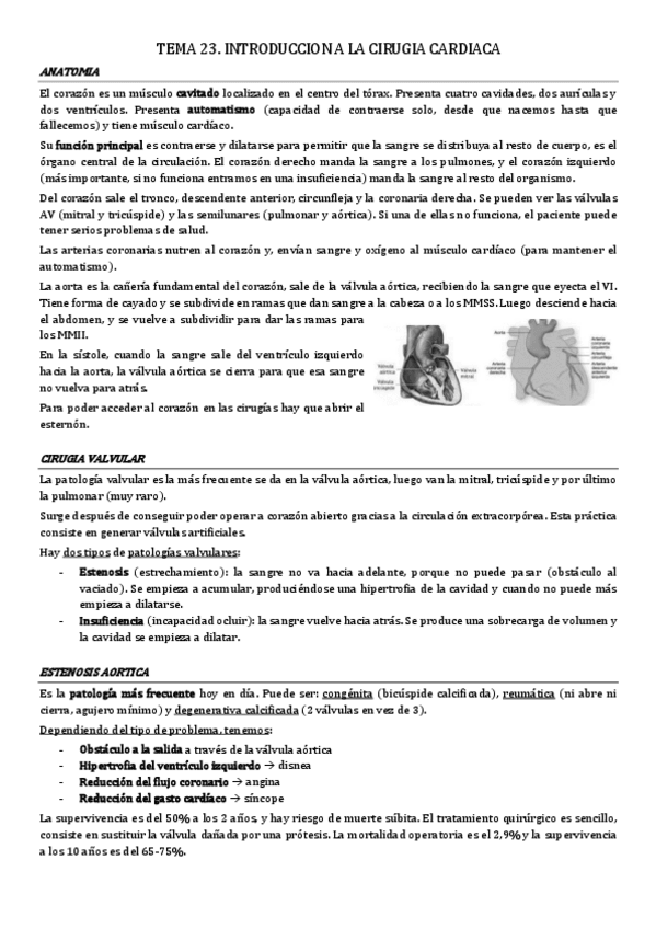 Miniatura del documento tema-23.pdf