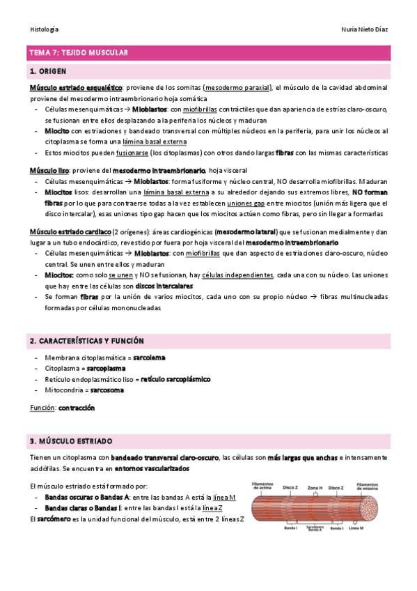 Miniatura del documento TEMA-7-Tejido-muscular.pdf