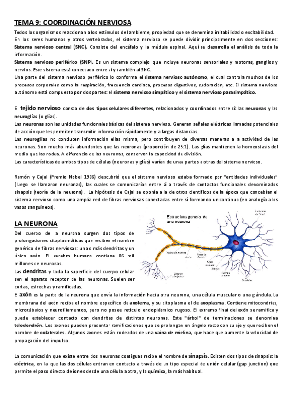 Miniatura del documento Tema-9-Sistema-nervioso.pdf