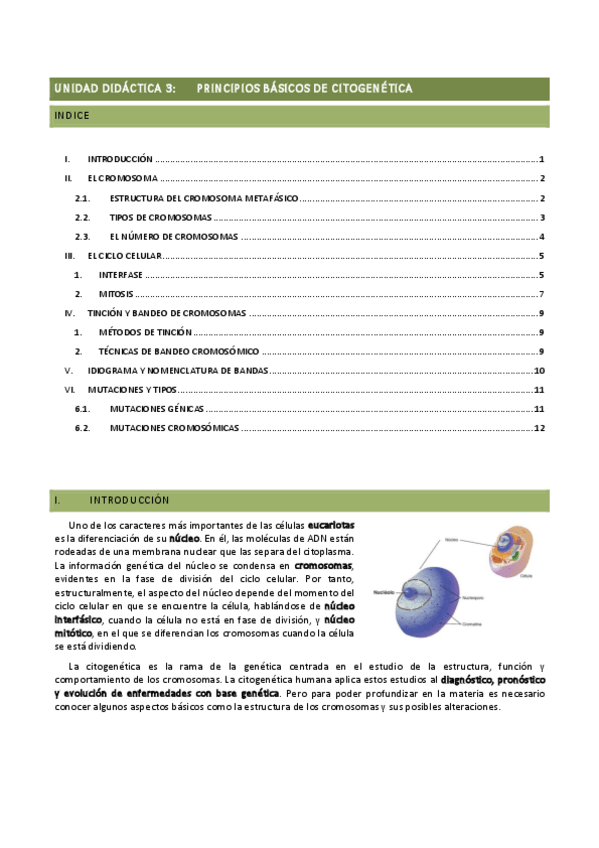 Miniatura del documento UD3.pdf