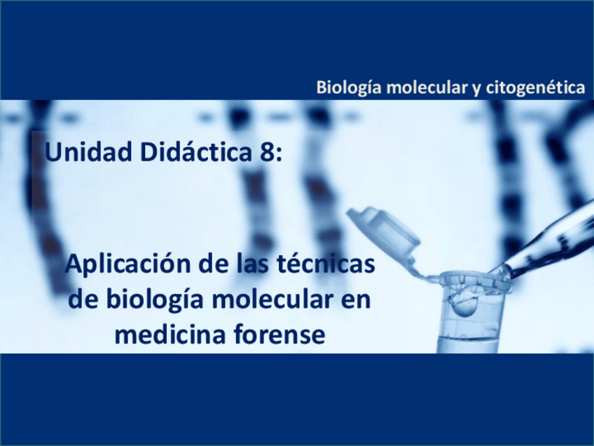 Miniatura del documento Tema-8.pdf