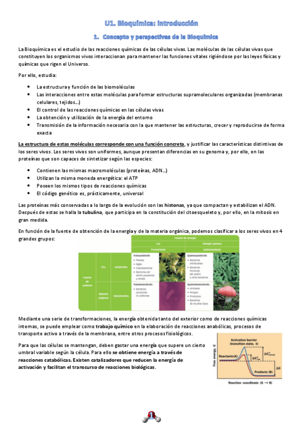 Miniatura del documento U1. Introducción.Bioelementos y agua.pdf