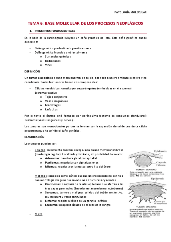 Miniatura del documento PATO-6.pdf