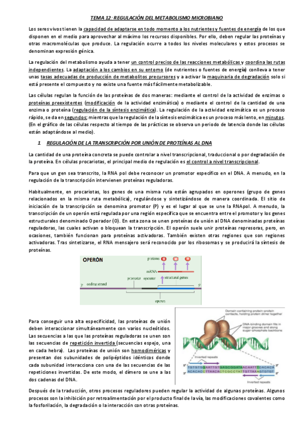 Miniatura del documento TEMA-12.pdf