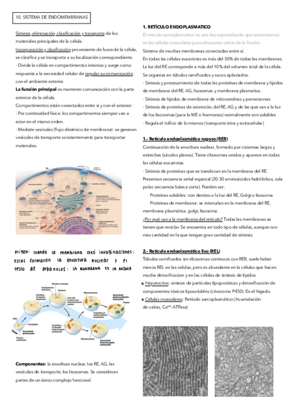 Miniatura del documento 10.pdf
