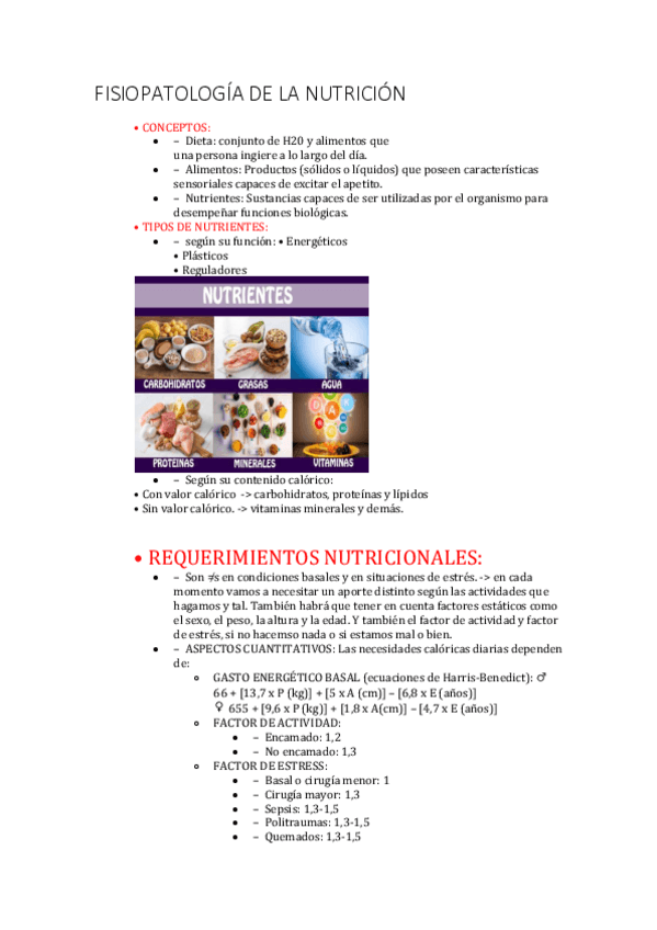 Miniatura del documento FISIOPATOLOGIA-DE-LA-NUTRICION.pdf
