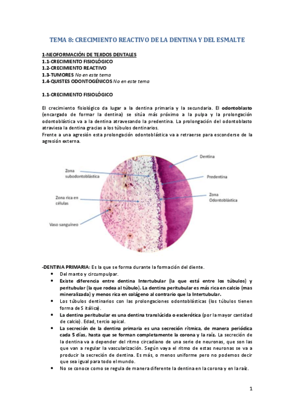 Miniatura del documento TEMA-8.pdf