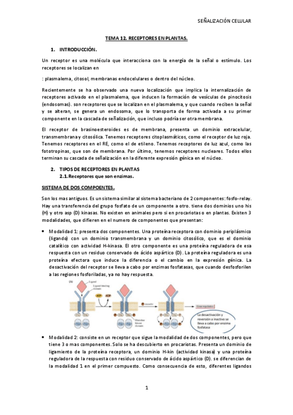 Miniatura del documento TEMA-12-SC.pdf