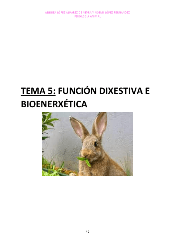 Miniatura del documento TEMA-5.pdf