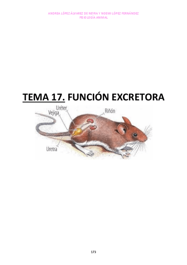 Miniatura del documento TEMA-17.pdf