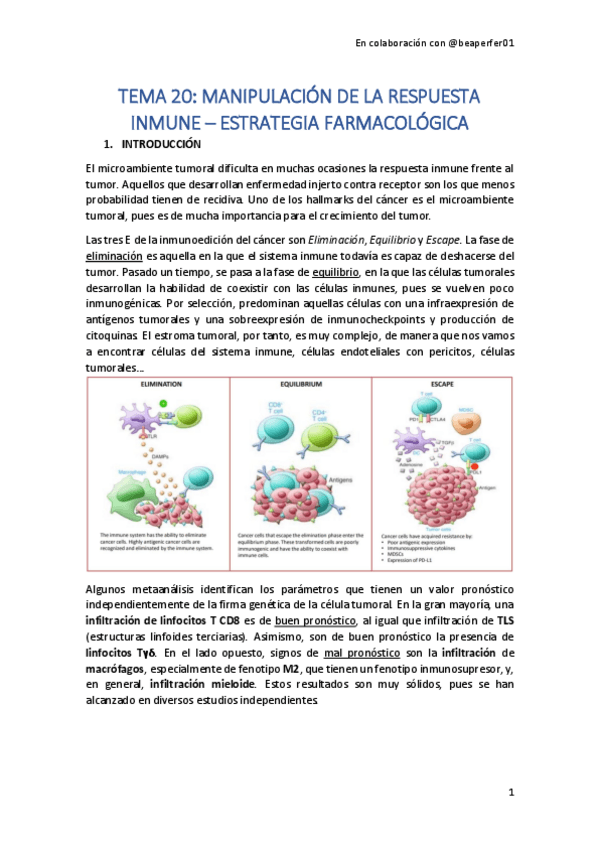 Miniatura del documento TEMA-20.pdf