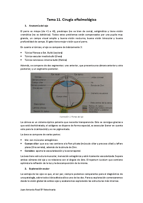 Miniatura del documento Tema-11.pdf