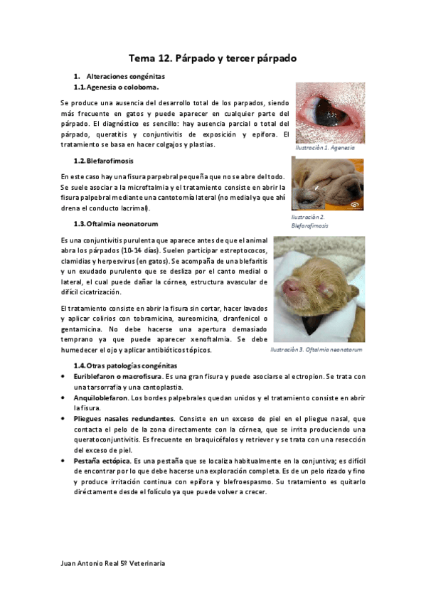 Miniatura del documento Tema-12.pdf
