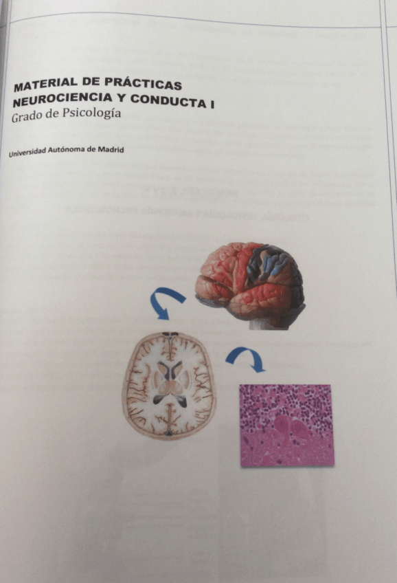 Miniatura del documento Prácticas .pdf